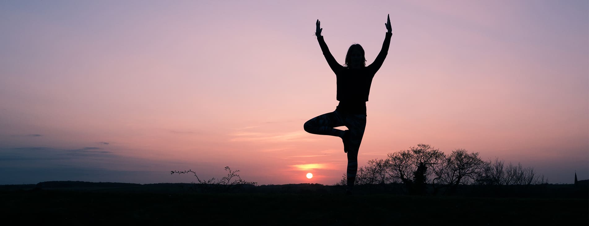 Viniyoga Christiane Wehner Braunschweig