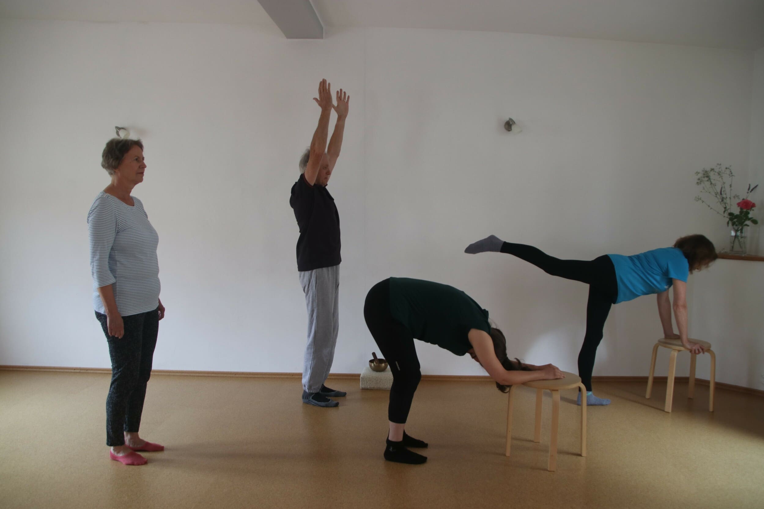 Viniyoga Christiane Wehner Braunschweig